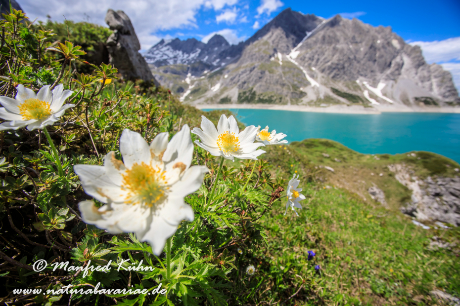 Lünersee (Österreich)_0039
