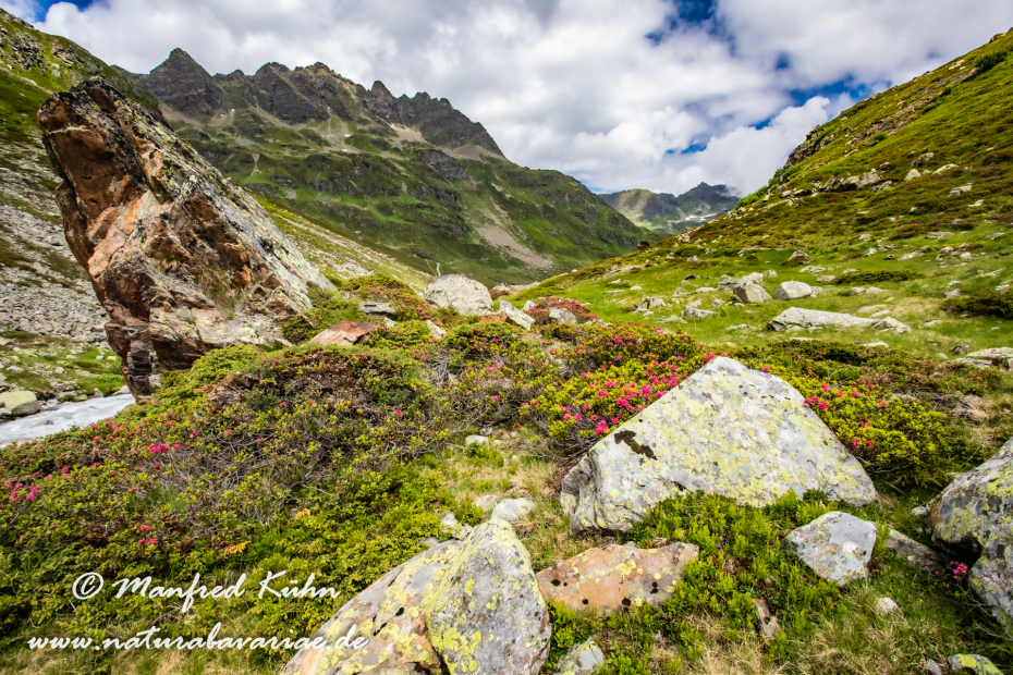 Bieler Höhe (Österreich)_0053