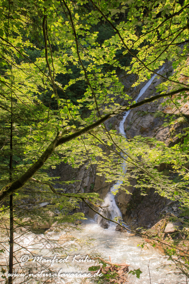 Bürser Schlucht (Österreich)_0011