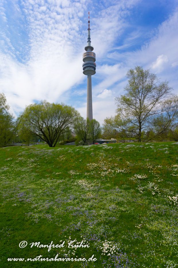 Olympiapark_München (BAY_LKR_M)_0032