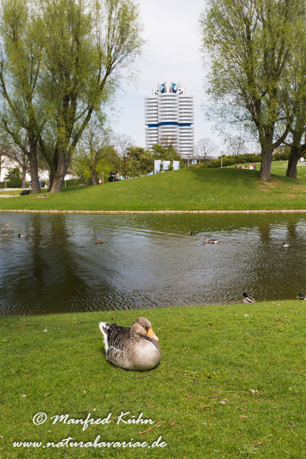 Olympiapark_München (BAY_LKR_M)_0035