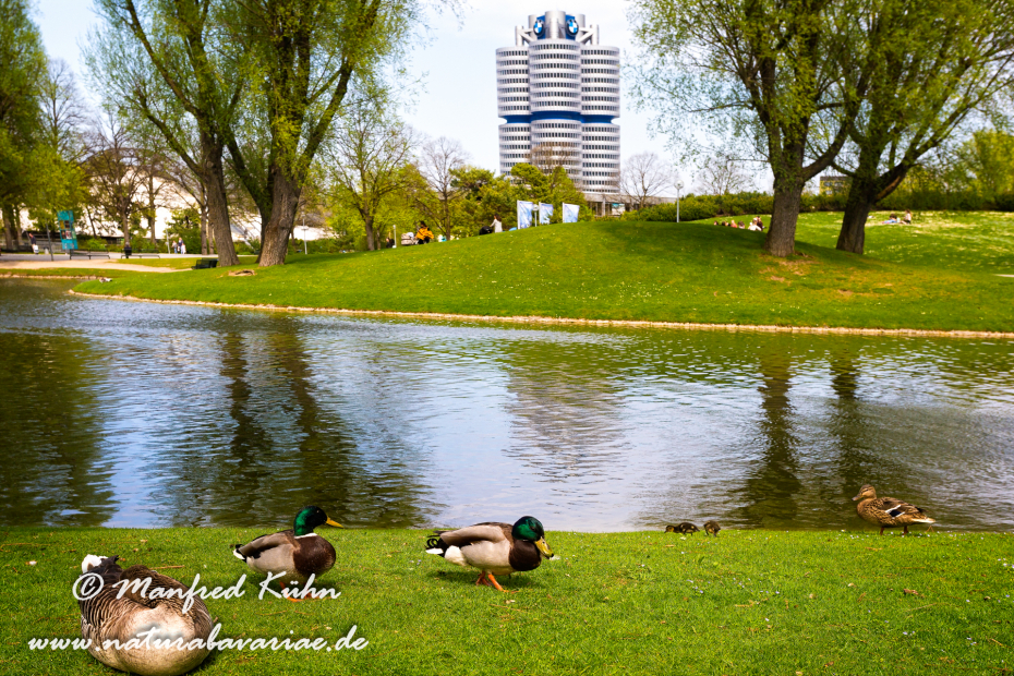 Olympiapark_München (BAY_LKR_M)_0037
