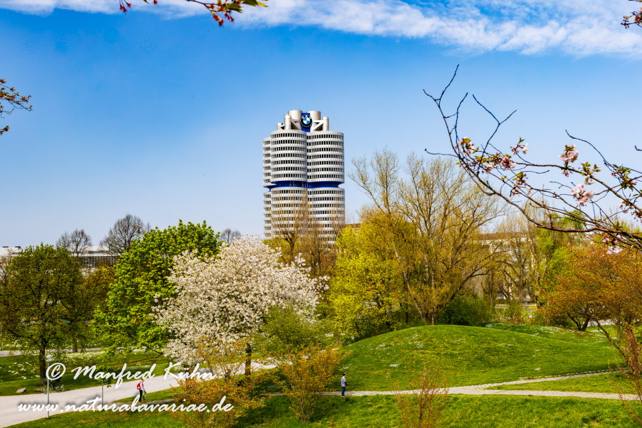 Olympiapark_München (BAY_LKR_M)_0045