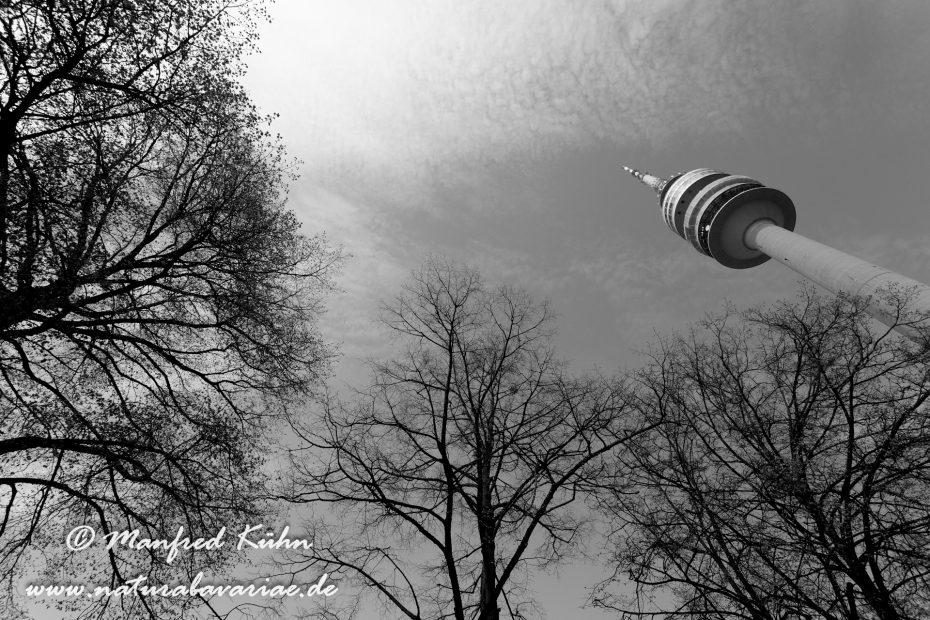 Olympiapark_München (BAY_LKR_M)_0057