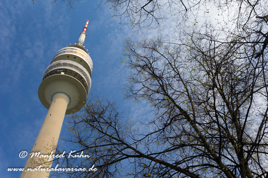 Olympiapark_München (BAY_LKR_M)_0059