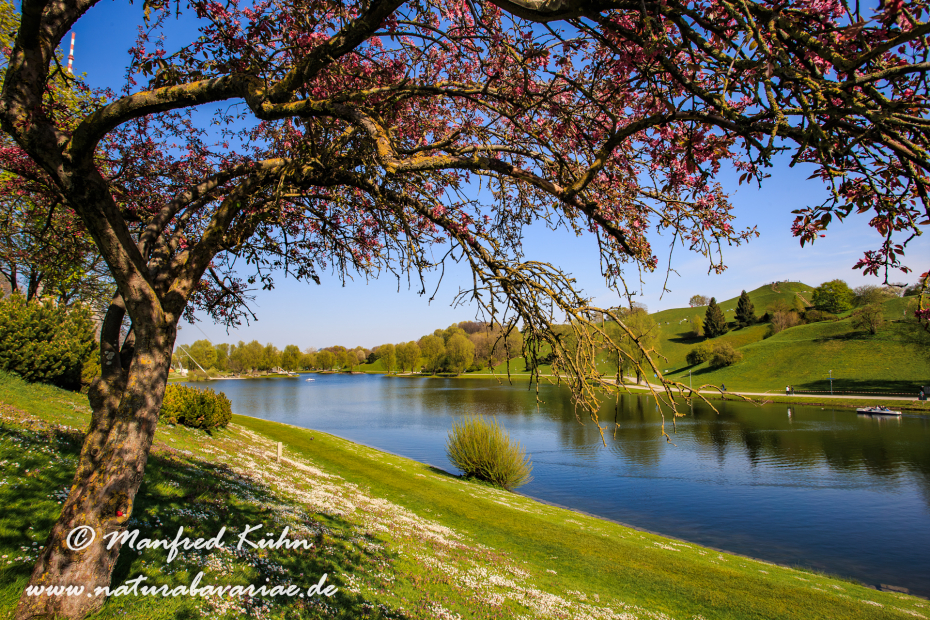 Olympiapark_München (BAY_LKR_M)_0081