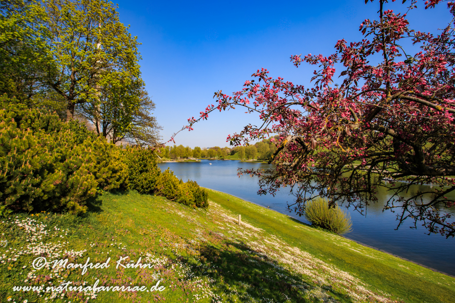 Olympiapark_München (BAY_LKR_M)_0082