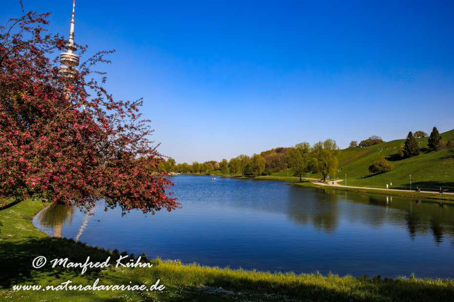 Olympiapark_München (BAY_LKR_M)_0084