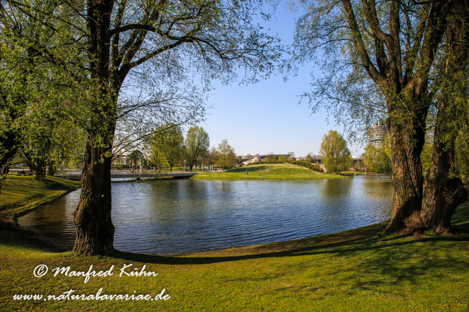 Olympiapark_München (BAY_LKR_M)_0099