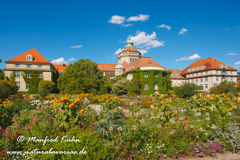 Botanischer_Garten (BAY_LKR_M)_0003
