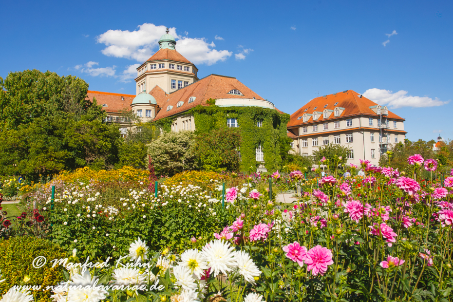 Botanischer_Garten (BAY_LKR_M)_0005