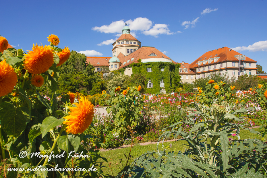 Botanischer_Garten (BAY_LKR_M)_0006