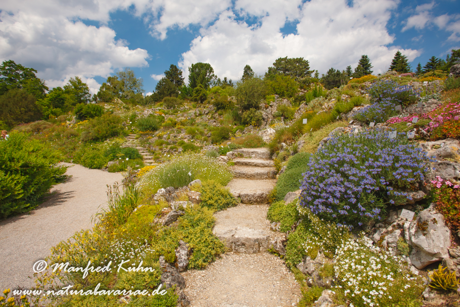Botanischer_Garten (BAY_LKR_M)_0007