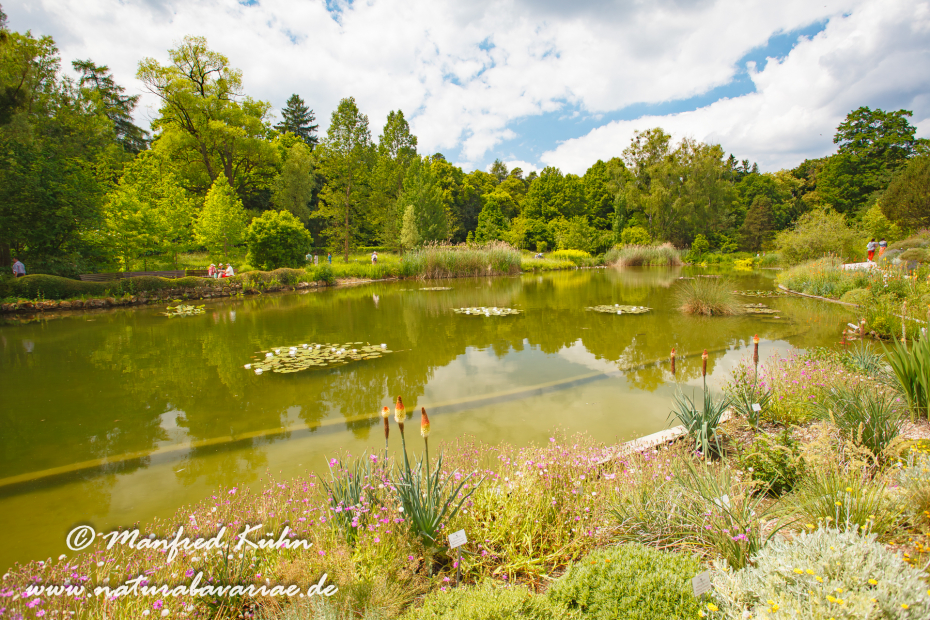 Botanischer_Garten (BAY_LKR_M)_0009