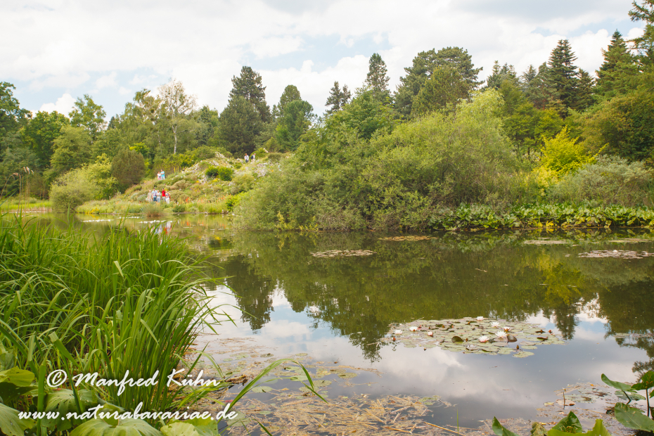 Botanischer_Garten (BAY_LKR_M)_0011