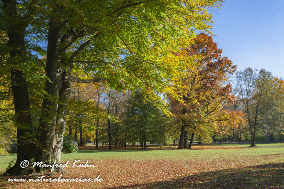 Englischer_Garten (BAY_LKR_M)_0018
