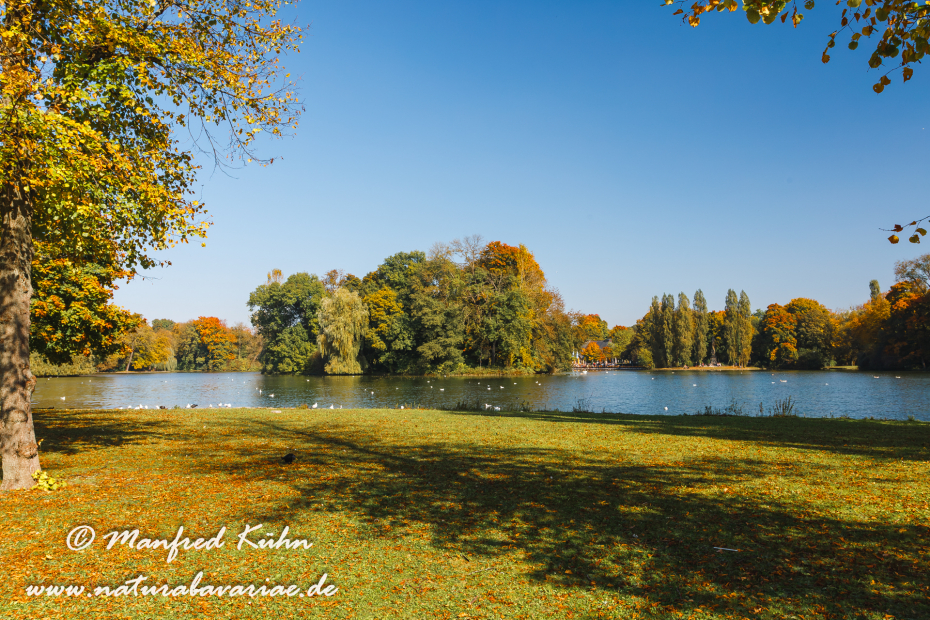 Englischer_Garten (BAY_LKR_M)_0024