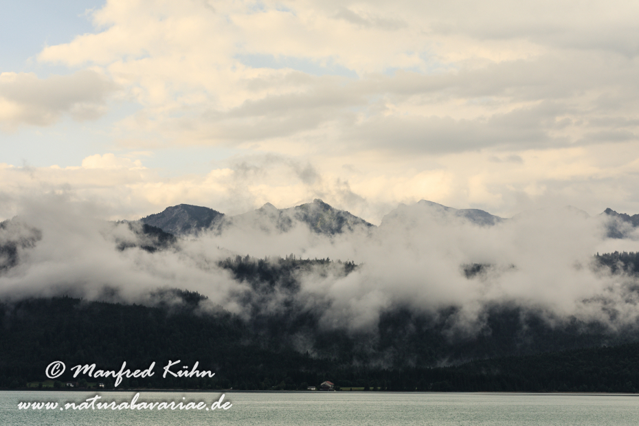Walchensee (BAY_LKR_TÖL)_0004