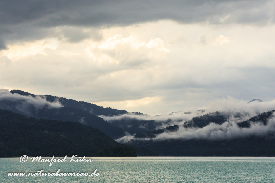 Walchensee (BAY_LKR_TÖL)_0006