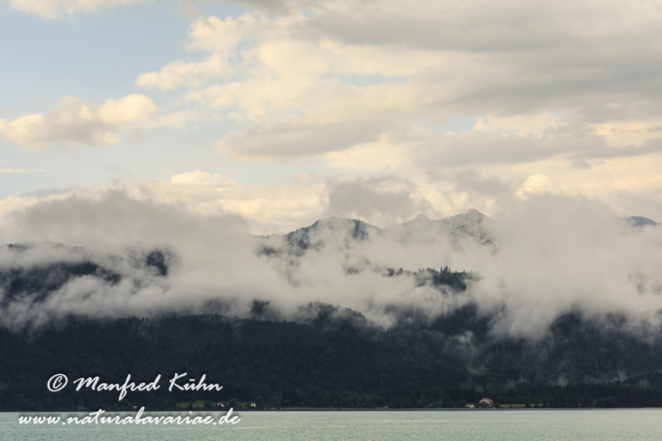 Walchensee (BAY_LKR_TÖL)_0011