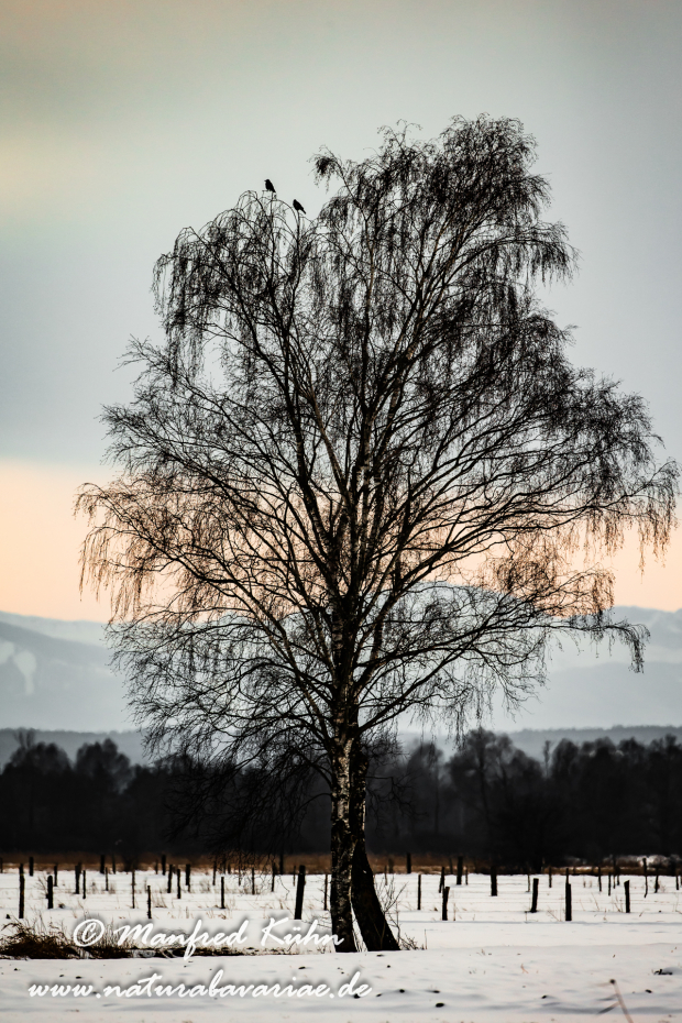 Ammersee (BAY_LKR_FFB)_0001