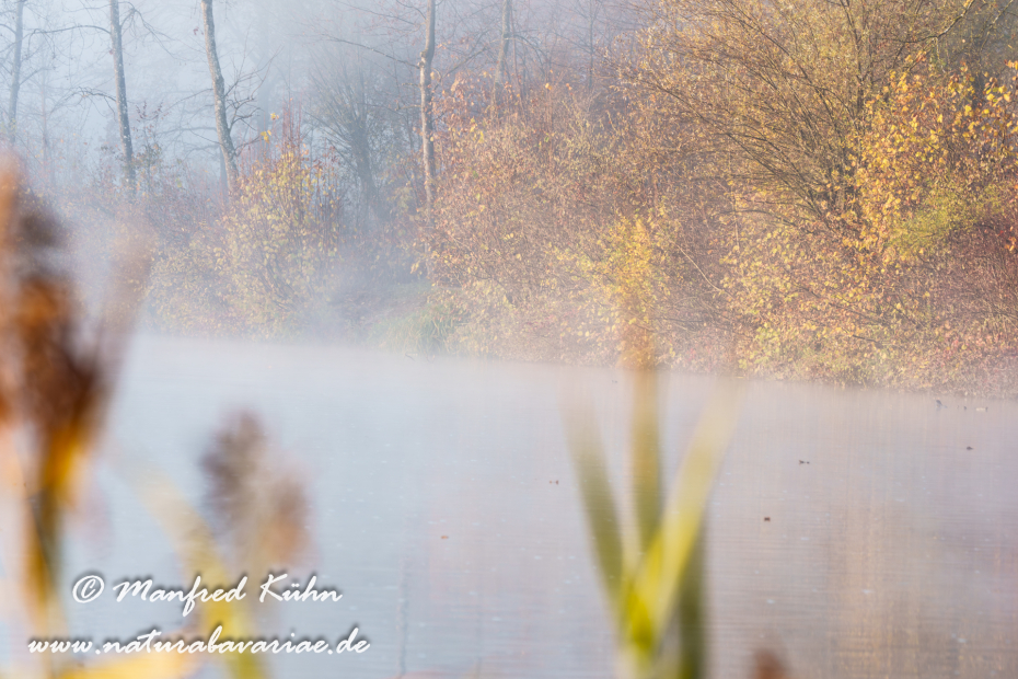 Amper_Herbst (BAY_LKR_DAH)_0015