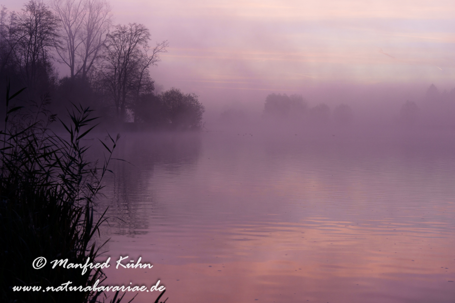 Amper_Sonnenaufgang (BAY_LKR_DAH)_0024