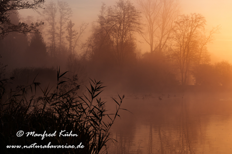 Amper_Sonnenaufgang (BAY_LKR_DAH)_0070