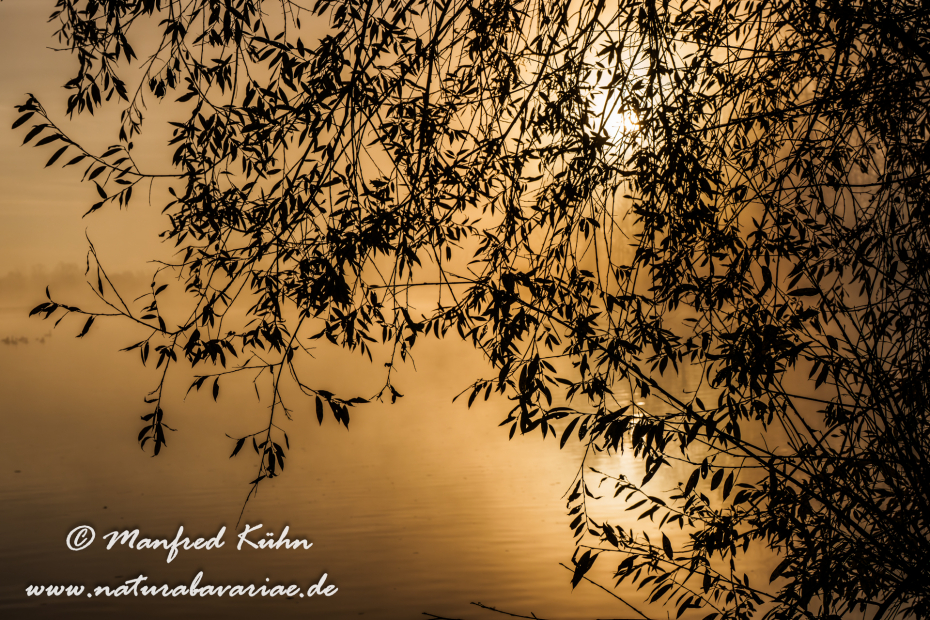 Amper_Sonnenaufgang (BAY_LKR_DAH)_0084