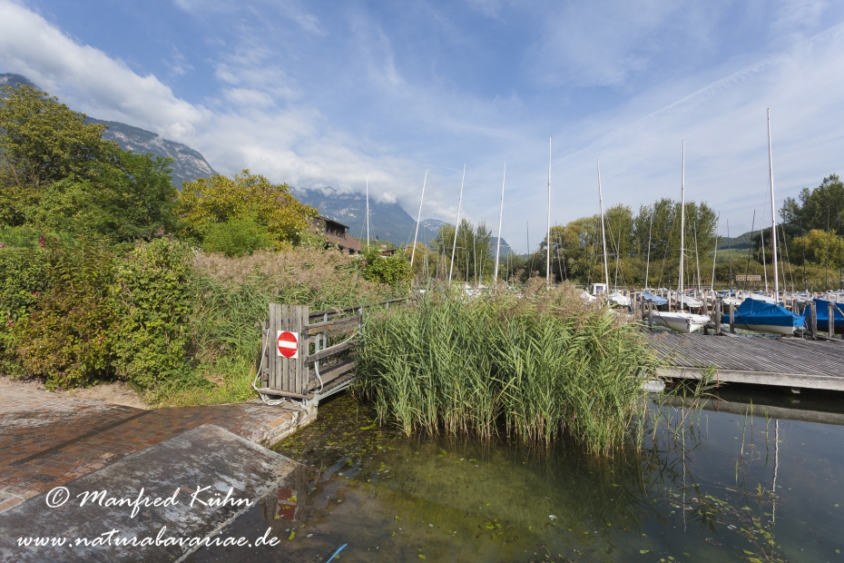 Kalterer See (Südtirol)_0001