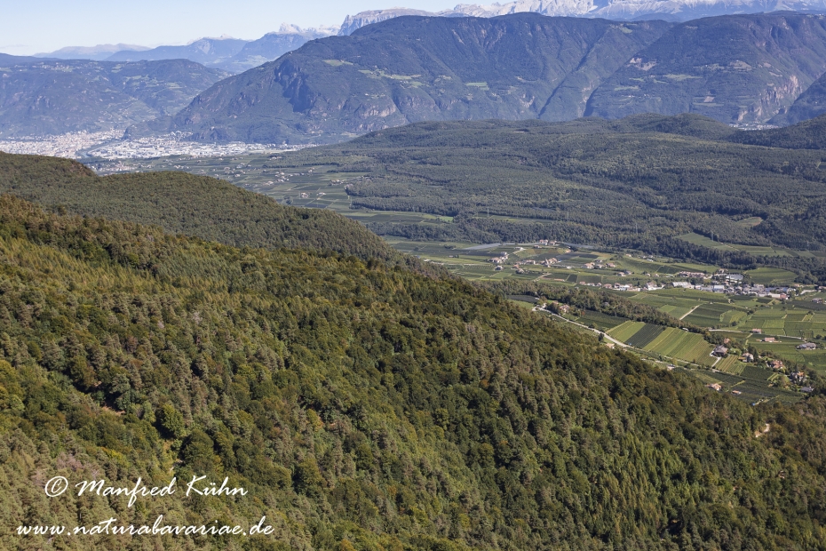 Mendelpass (Trentino)_0012