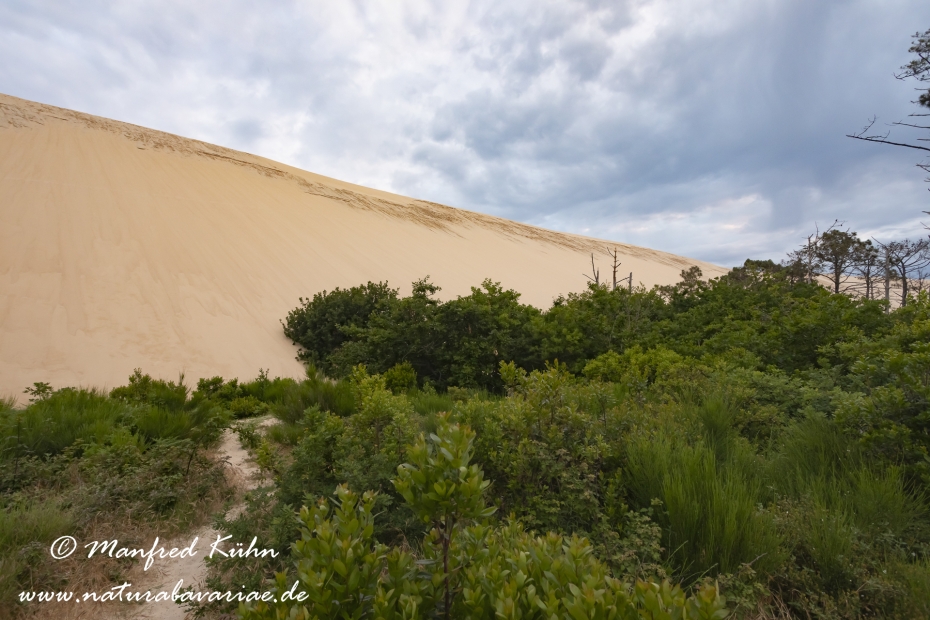 Dune du Pilat (Frankreich)_0004