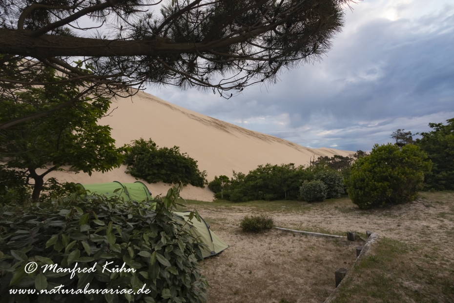 Dune du Pilat (Frankreich)_0006