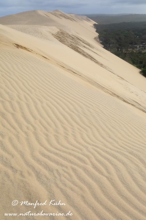 Dune du Pilat (Frankreich)_0076