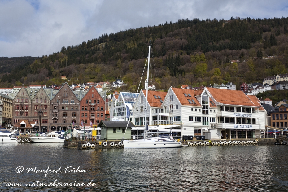 Bergen (Norwegen)_0006