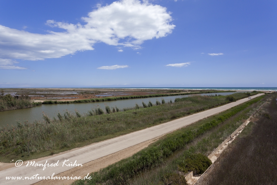 Ebrodelta (Spanien)_0311