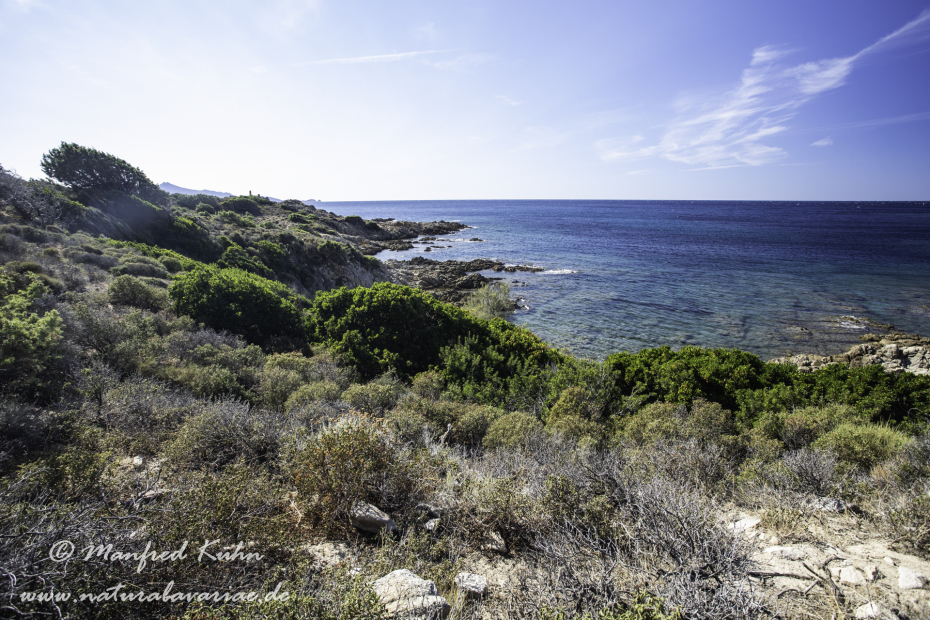 Korsika (Frankreich)_0250