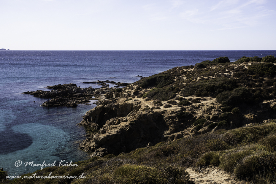Korsika (Frankreich)_0255