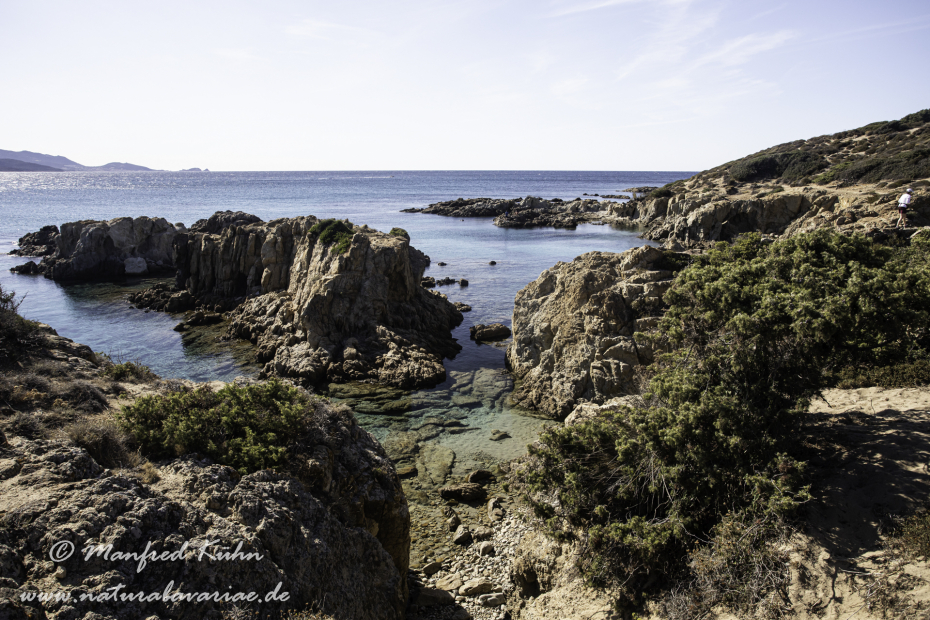Korsika (Frankreich)_0257